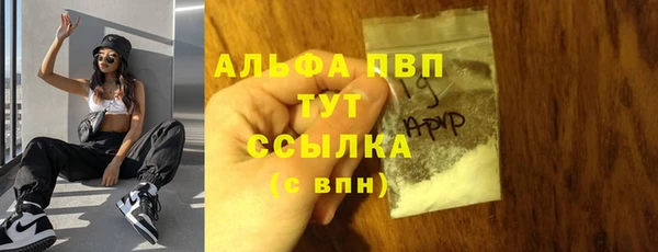 PSILOCYBIN Богородск