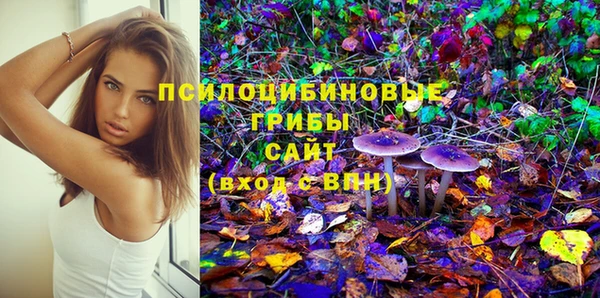 PSILOCYBIN Богородск